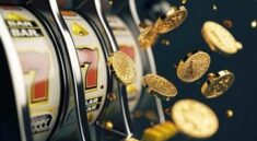 tips memilih situs